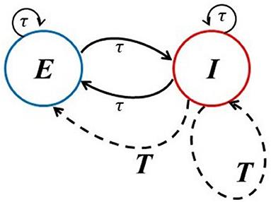 Complexity Collapse, Fluctuating Synchrony, and Transient Chaos in Neural Networks With Delay Clusters